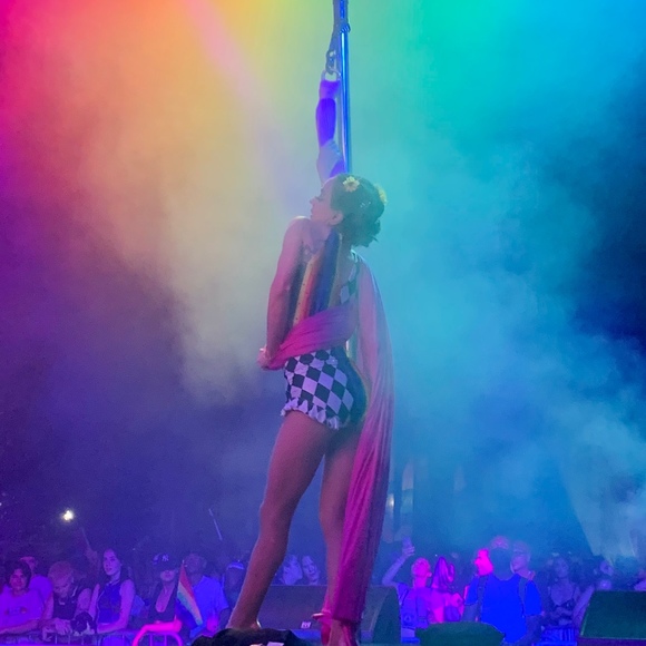 Meet your Posher, Lili - Picture 1 of 1